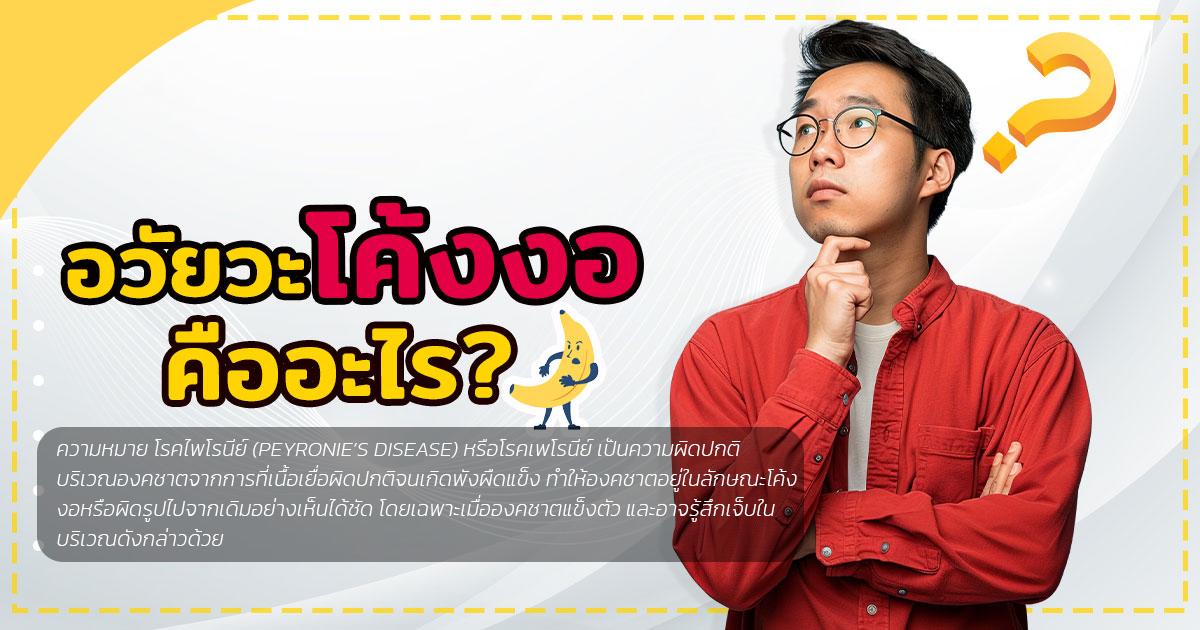 อวัยวะเพศโค้งงอ