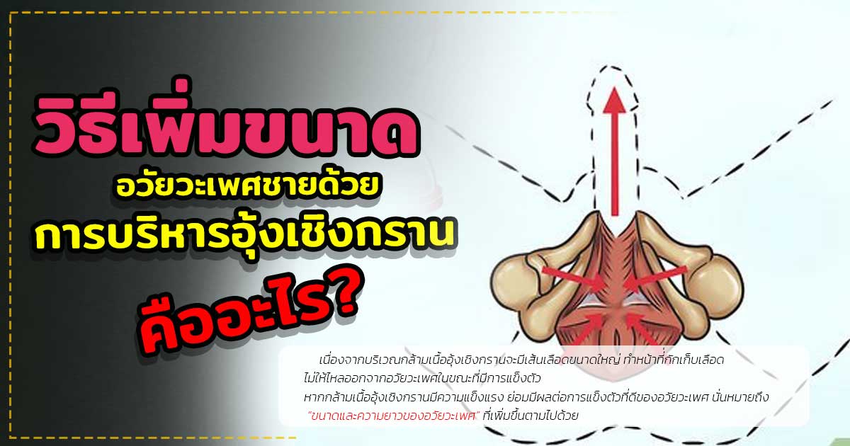 dfk - หมอเบียร์ เคลียร์ใจ เพิ่มขนาดอวัยวะเพศชาย