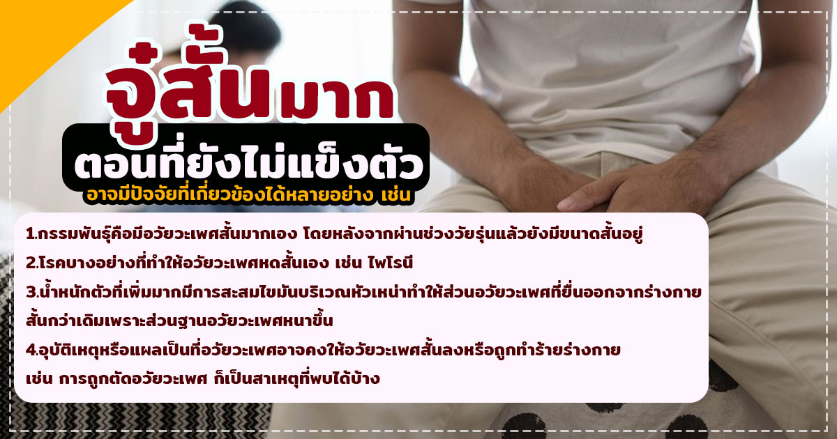 จู๋สั้น