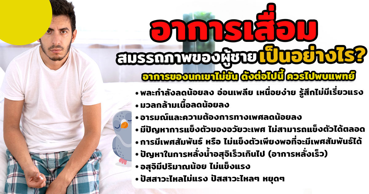นกเขาไม่ขัน
