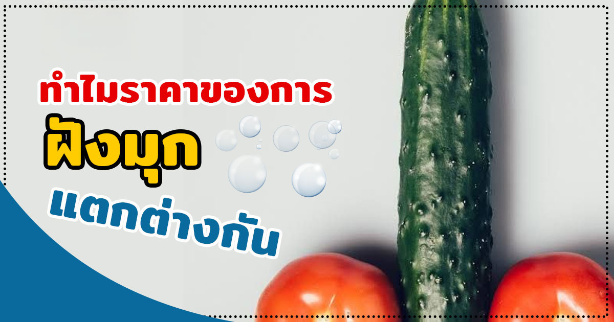 df - หมอเบียร์ เคลียร์ใจ ฝังมุก