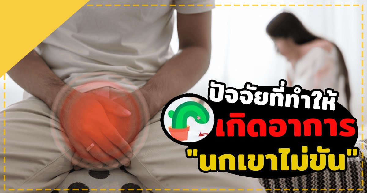 นกเขาไม่ขัน