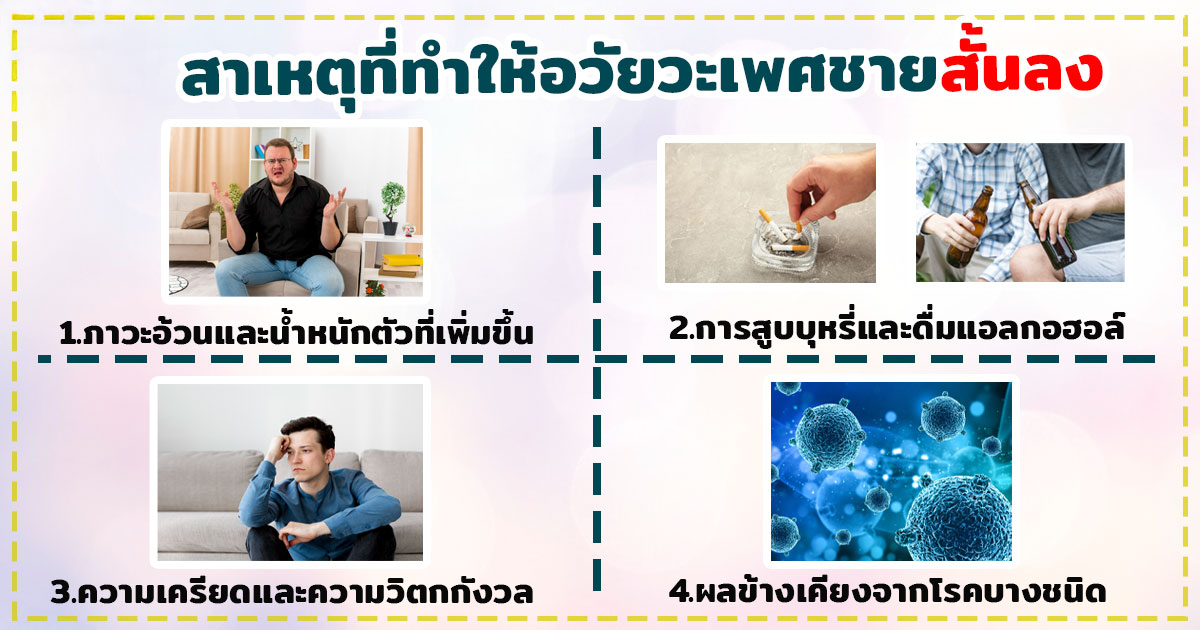 เพิ่มความยาวอวัยวะเพศชาย