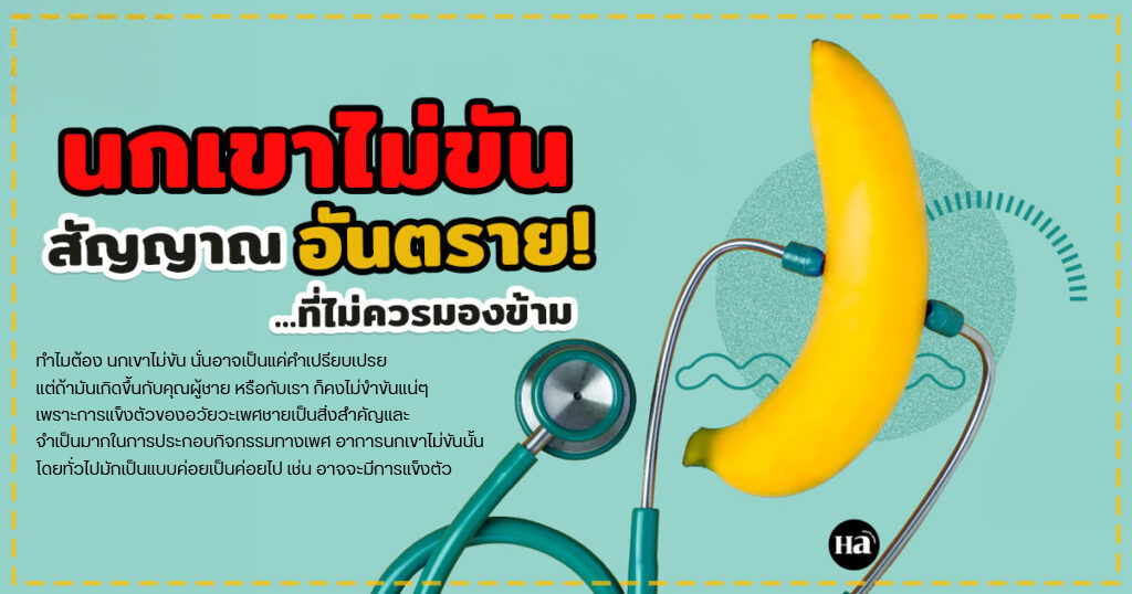 นกเขาไม่ขัน