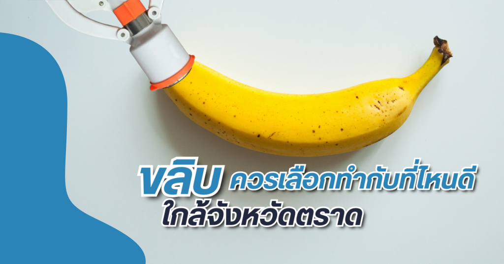 ขลิบไร้เลือด