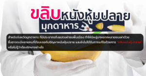 ขลิบหนังหุ้มปลาย