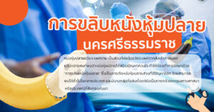 ขลิบหนังหุ้มปลาย