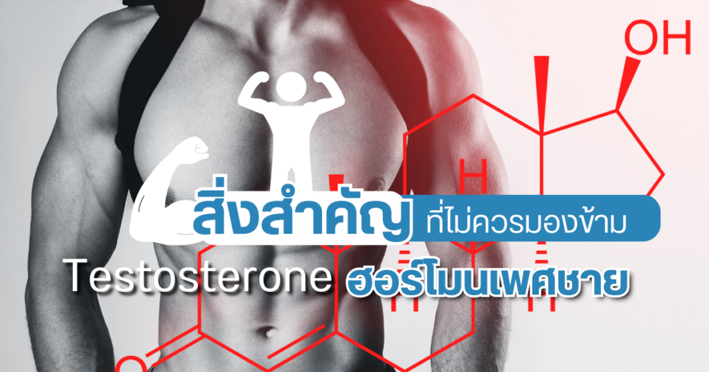 ฮอร์โมนเพศชาย